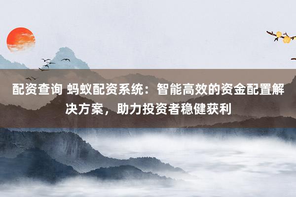 配资查询 蚂蚁配资系统：智能高效的资金配置解决方案，助力投资者稳健获利