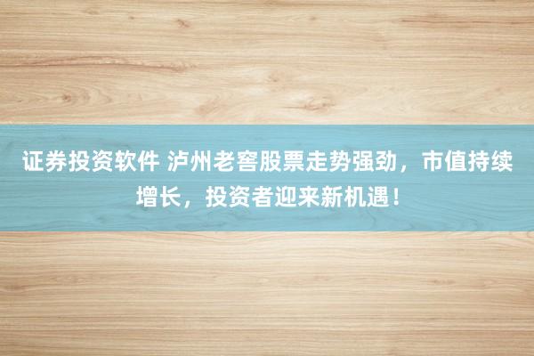 证券投资软件 泸州老窖股票走势强劲，市值持续增长，投资者迎来新机遇！